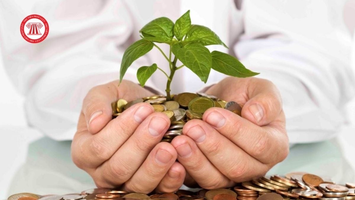 Quy định về quản lý và sử dụng vốn, tài sản của chương trình, dự án tài chính vi mô của tổ chức chính trị - xã hội thế nào?